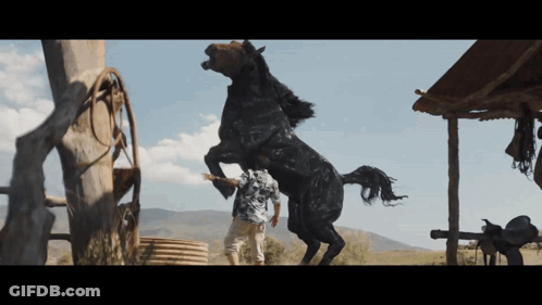 Man Standing Next To Black Horse GIF