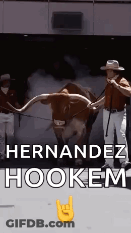 Man Standing Next To Bull With Long Horns And Cowboy Hat GIF