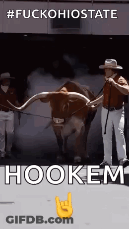 Man Standing Next To Bull With Long Horns And Hookem Sign GIF