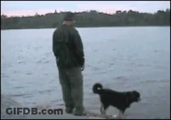 Man Standing Next To Dog In Water GIF