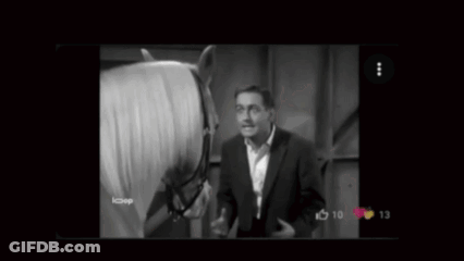 Man Standing Next To Horse Miserable Delulu GIF