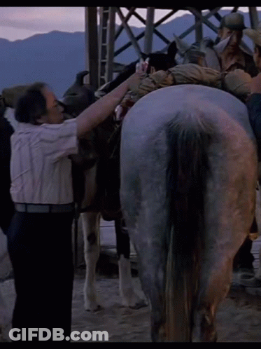 Man Standing Next To Horse With Bag GIF