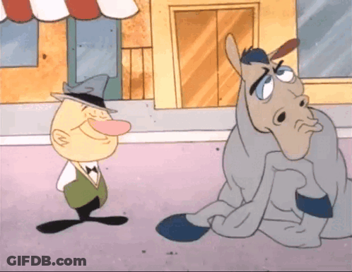 Man Standing Next To Horse With Blanket GIF