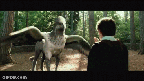 Man Standing Next To Large Bird With Wings Outstretched GIF