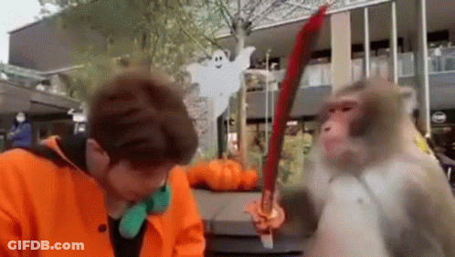 Man Standing Next To Monkey With Sword GIF