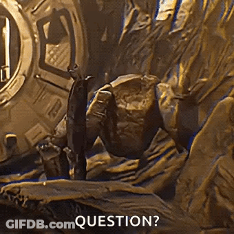 Man Standing Next To Rock Saying Question GIF