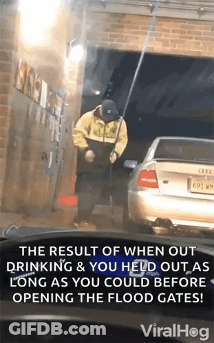 Man Standing Next To Silver Car With License Plate 691 WM GIF