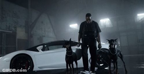 Man Standing Next To Two Dogs GIF