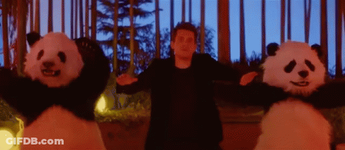 Man Standing Next To Two Panda Bears GIF