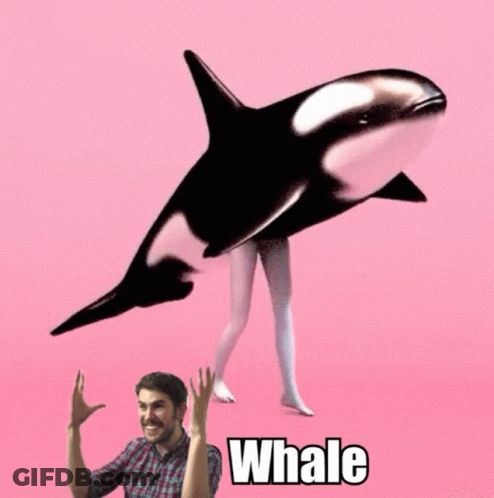 Man Standing Next To Whale Carrying Woman's Legs GIF