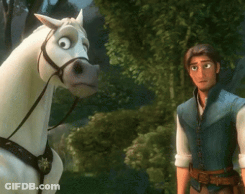 Man Standing Next To White Horse With Star GIF