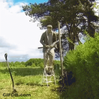 Man Standing On Ladder In Grassy Field GIF