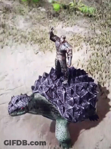 Man Standing On Large Turtle GIF