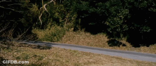 Man Standing On Sidewalk Holding Water And Cookies GIF