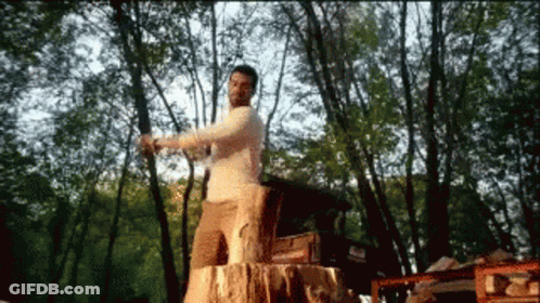 Man Standing On Stump In Woods GIF