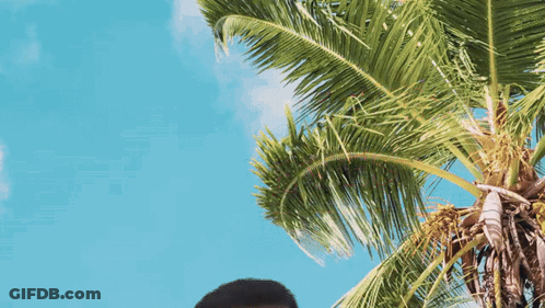 Man Standing Under Palm Tree GIF