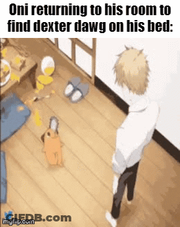 Man Standing With Dog On Floor GIF