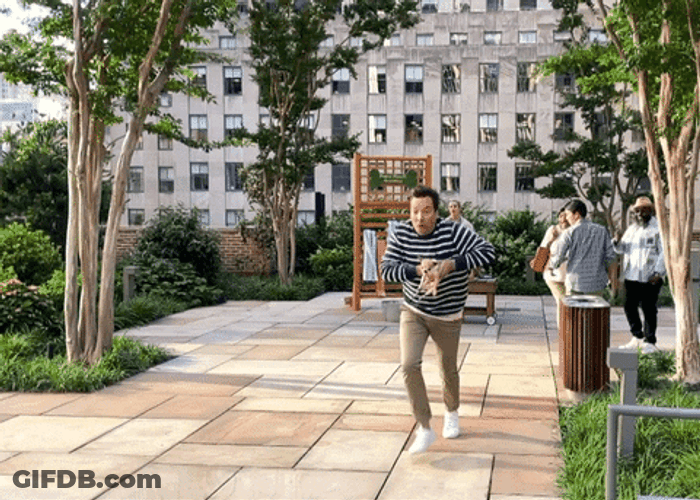 Man Stealing Puppy GIF