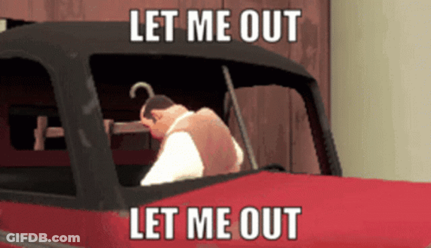 Man Stock In The Car Let Me Out GIF