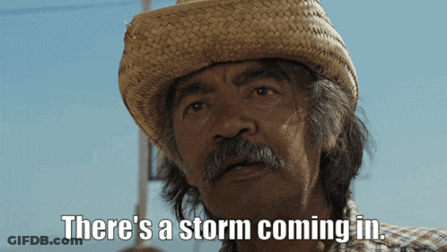 Man Straw Hat Plaid Shirt Says Storm Coming GIF