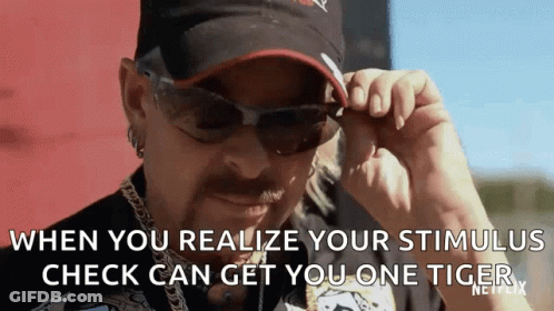 Man Sunglasses Hat Stimulus Check Gets One Tiger GIF