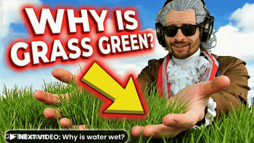 Man Sunglasses Headphones Holding Grass Why Is Grass Green GIF