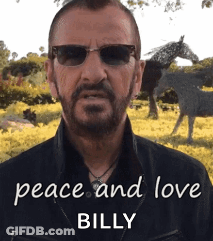 Man Sunglasses Says Peace And Love Billy In Front Of A Horse GIF
