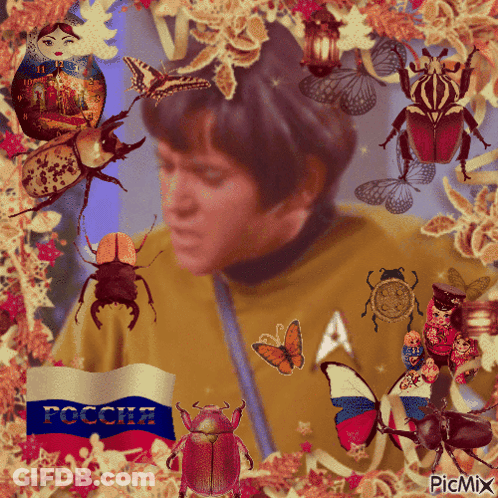 Man Surrounded By Beetles And Butterflies With Russian Flag GIF
