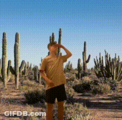 Man Surrounded By Cacti In Desert GIF