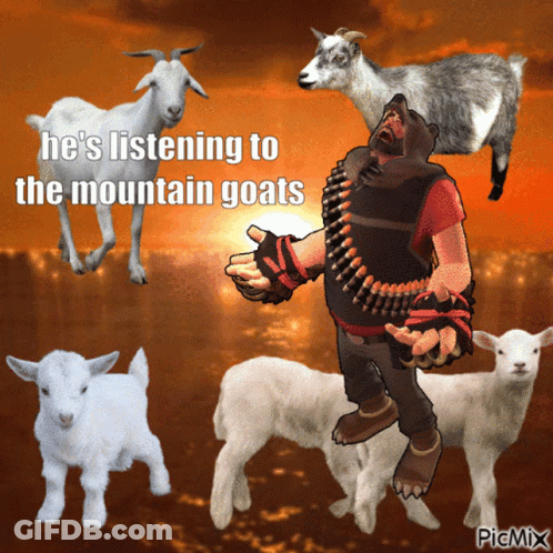 Man Surrounded By Goats Listening To The Mountain Goats GIF