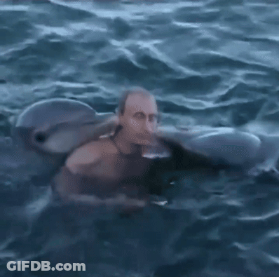 Man Swimming In Ocean With Dolphin GIF