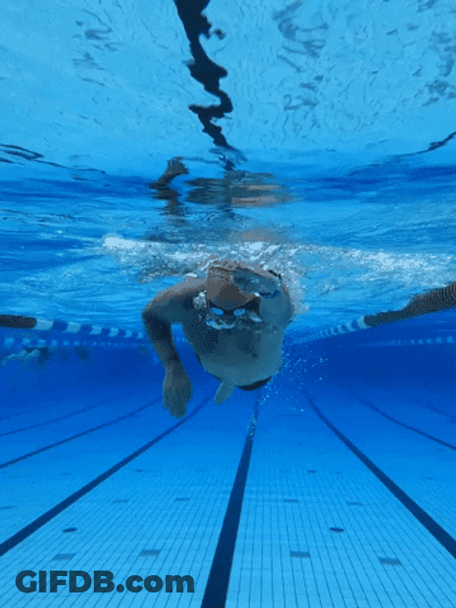Man Swimming Training GIF