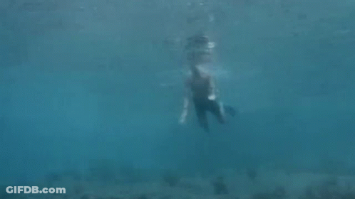 Man Swimming Underwater With Flippers GIF