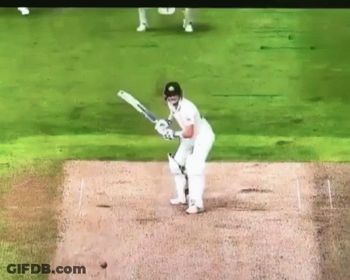 Man Swinging Bat At Ball On Field GIF