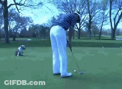 Man Swinging Golf Club At Golf Ball GIF