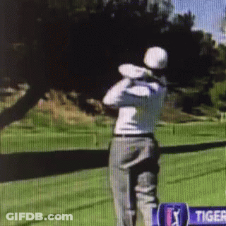 Man Swinging Golf Club In Front Of Tiger Sign GIF