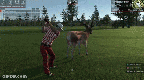 Man Swinging Golf Club While Deer Looks On GIF