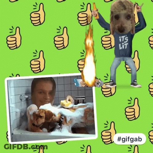 Man Taking Bath Next To Dog Saying It's Lit GIF