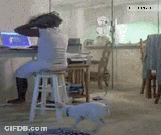 Man Taking Bath With Dog In Tub GIF