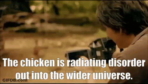 Man Taking Picture Of Chicken Radiating Disorder GIF