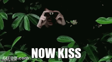 Man Taking Picture Of Tree Saying Now Kiss GIF
