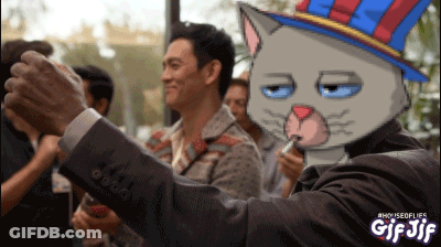 Man Taking Picture With Cat On Head GIF