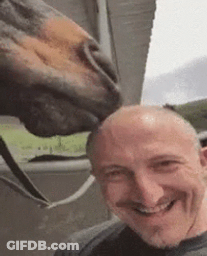 Man Taking Selfie With Horse Licking His Head GIF