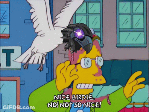 Man Talking On Cell Phone Nice Birdie No Not So Nice GIF