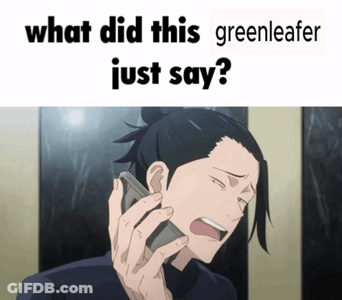 Man Talking On Phone Saying What GIF
