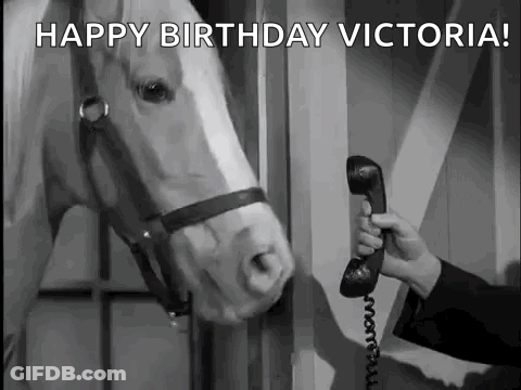 Man Talking On Phone To Horse GIF