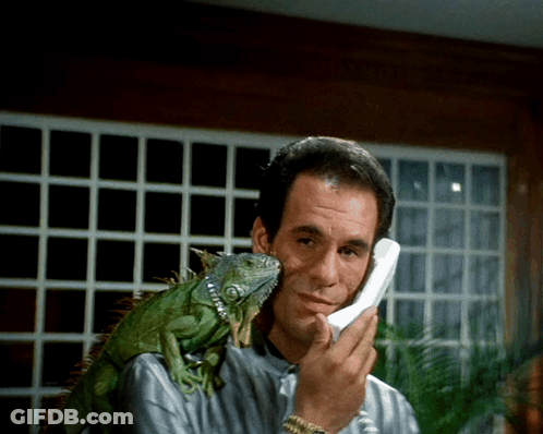 Man Talking On Phone With Lizard On Shoulder GIF