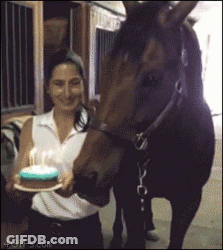 Man Talking On Telephone With Horse GIF