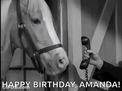 Man Talking On Telephone With Horse GIF