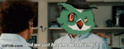 Man Talking To Man With Green Bird On Head Saying Did We Just Become Best Friends GIF